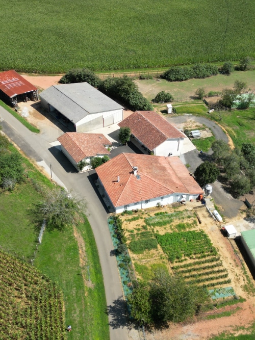 la-ferme-du-haut-clouzet-producteur-foie-gras-landes-montfort-en-chalosse